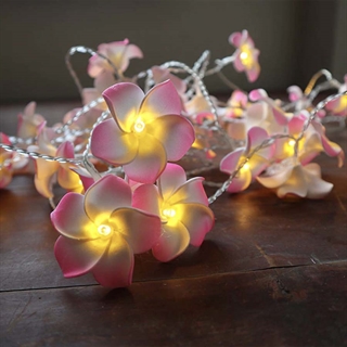 Frangipani lyskæde 